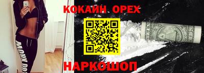 гидропоника Сланцы