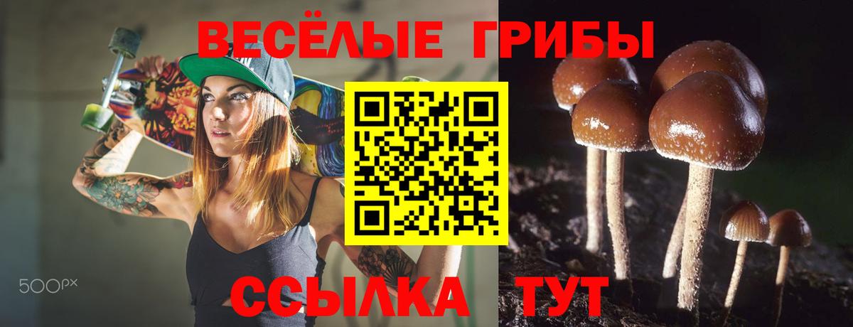 Приморско-Ахтарск  Псилоцибиновые грибы MAGIC MUSHROOMS  Вход с VPN  Галлюциногенные грибы GOLDEN TEACHER 